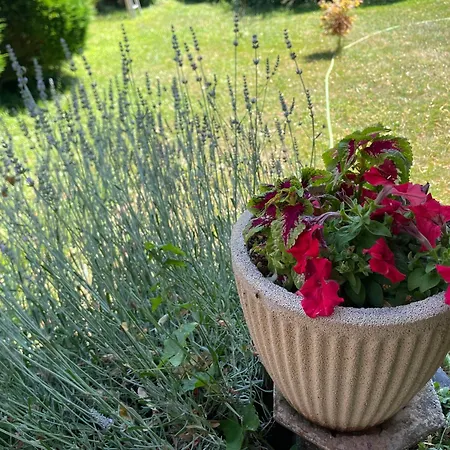 Casa vacanze Dans Maison Privée *